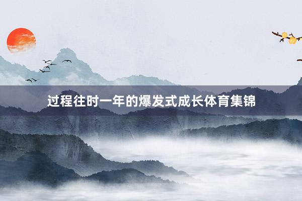 过程往时一年的爆发式成长体育集锦