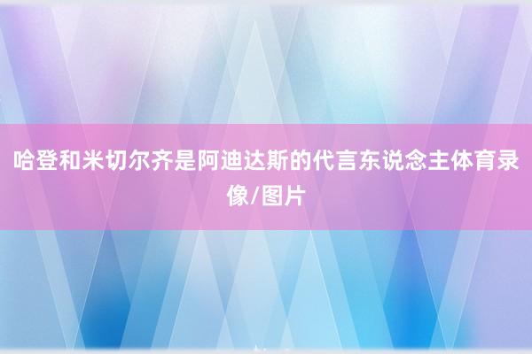 哈登和米切尔齐是阿迪达斯的代言东说念主体育录像/图片