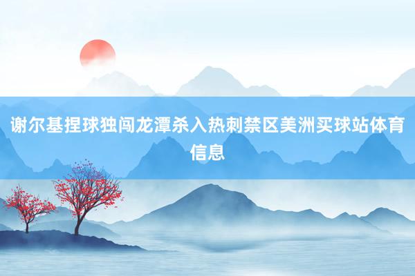 谢尔基捏球独闯龙潭杀入热刺禁区美洲买球站体育信息