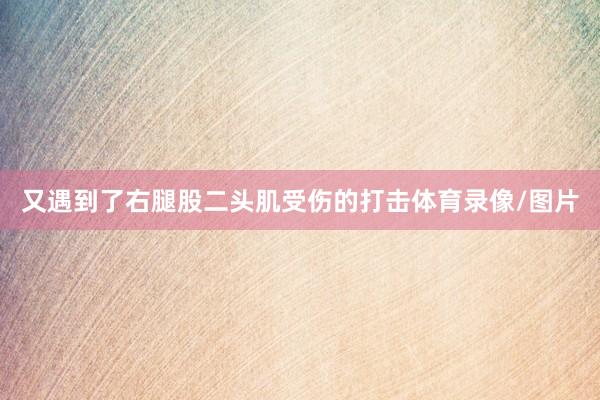 又遇到了右腿股二头肌受伤的打击体育录像/图片