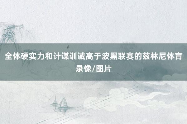 全体硬实力和计谋训诫高于波黑联赛的兹林尼体育录像/图片