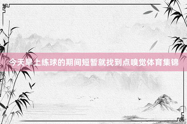 今天早上练球的期间短暂就找到点嗅觉体育集锦