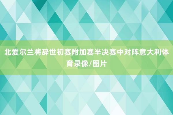 北爱尔兰将辞世初赛附加赛半决赛中对阵意大利体育录像/图片