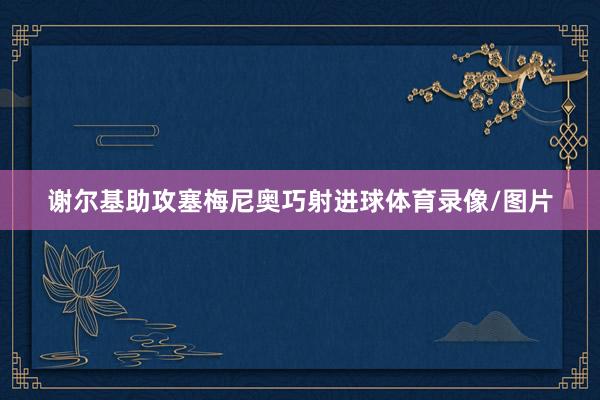 谢尔基助攻塞梅尼奥巧射进球体育录像/图片