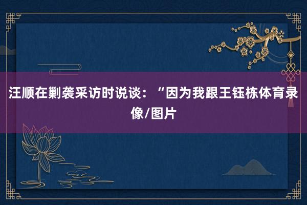 汪顺在剿袭采访时说谈:“因为我跟王钰栋体育录像/图片