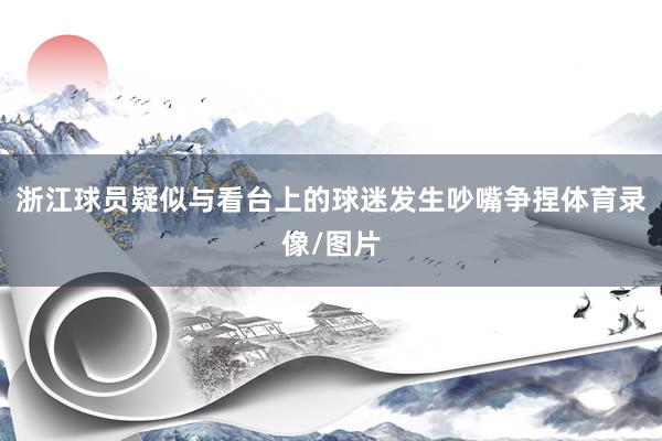 浙江球员疑似与看台上的球迷发生吵嘴争捏体育录像/图片