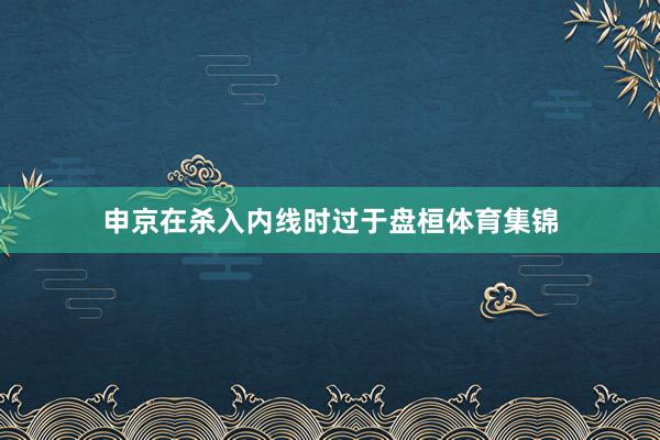 申京在杀入内线时过于盘桓体育集锦