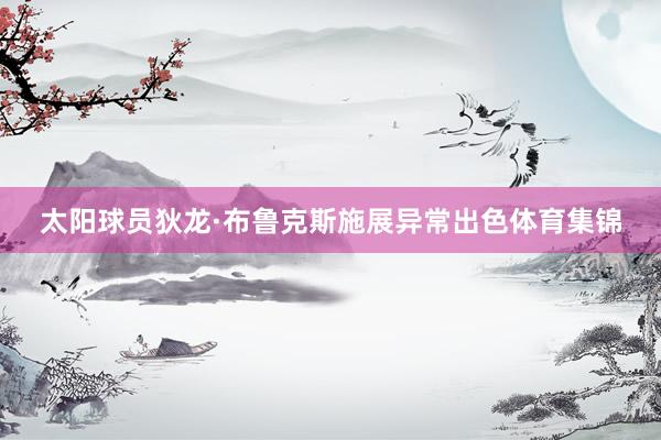 太阳球员狄龙·布鲁克斯施展异常出色体育集锦