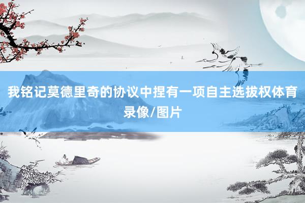 我铭记莫德里奇的协议中捏有一项自主选拔权体育录像/图片