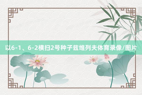以6-1、6-2横扫2号种子兹维列夫体育录像/图片