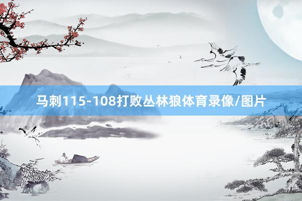 马刺115-108打败丛林狼体育录像/图片