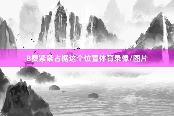 B费紧紧占据这个位置体育录像/图片