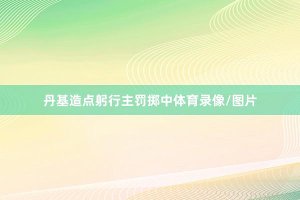 丹基造点躬行主罚掷中体育录像/图片