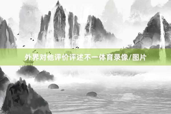 外界对他评价评述不一体育录像/图片