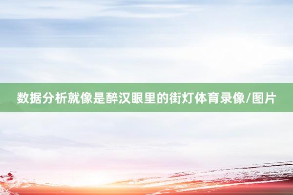 数据分析就像是醉汉眼里的街灯体育录像/图片