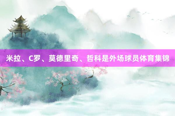 米拉、C罗、莫德里奇、哲科是外场球员体育集锦