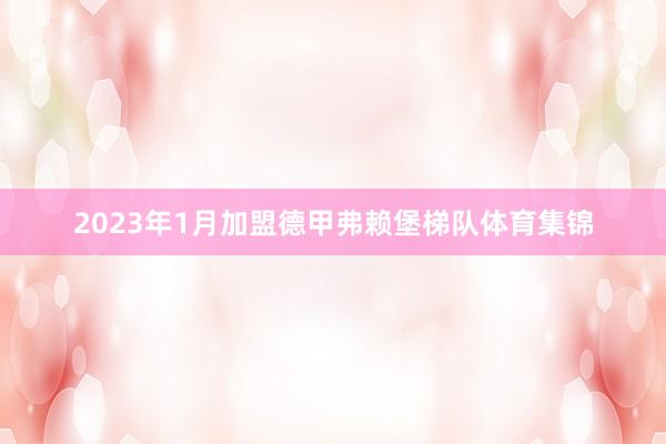2023年1月加盟德甲弗赖堡梯队体育集锦
