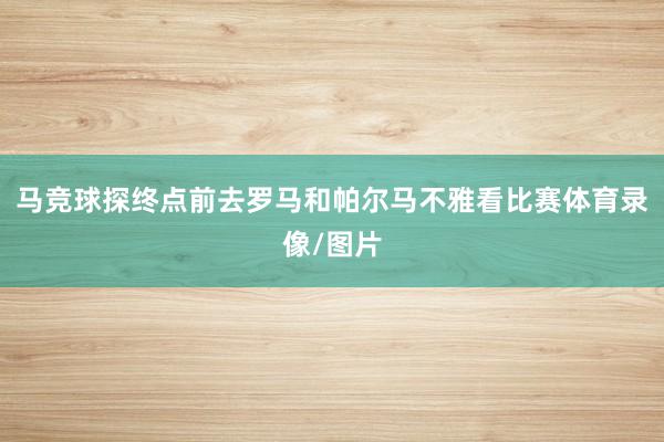 马竞球探终点前去罗马和帕尔马不雅看比赛体育录像/图片