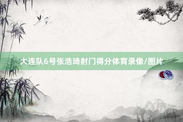 大连队6号张浩琦射门得分体育录像/图片